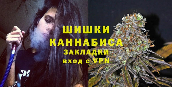 дурь Пересвет
