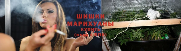 шишки Переславль-Залесский