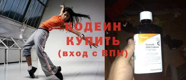 шишки Переславль-Залесский