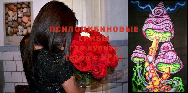 кристаллы Осташков