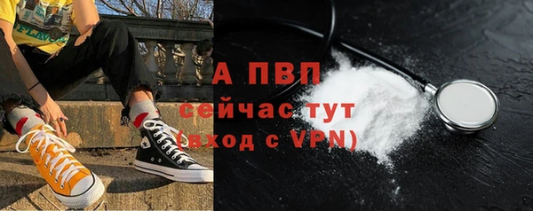 шишки Переславль-Залесский