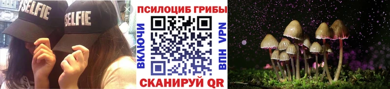 Псилоцибиновые грибы мицелий  Апрелевка 