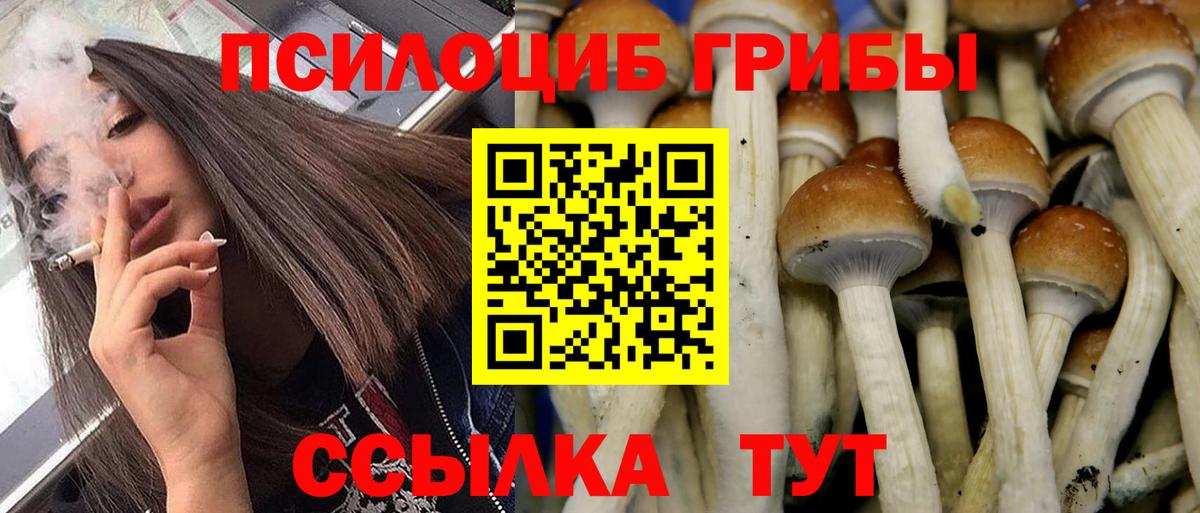 Апрелевка  Псилоцибиновые грибы GOLDEN TEACHER  Псилоцибиновые грибы Magic Shrooms  Вход с VPN 