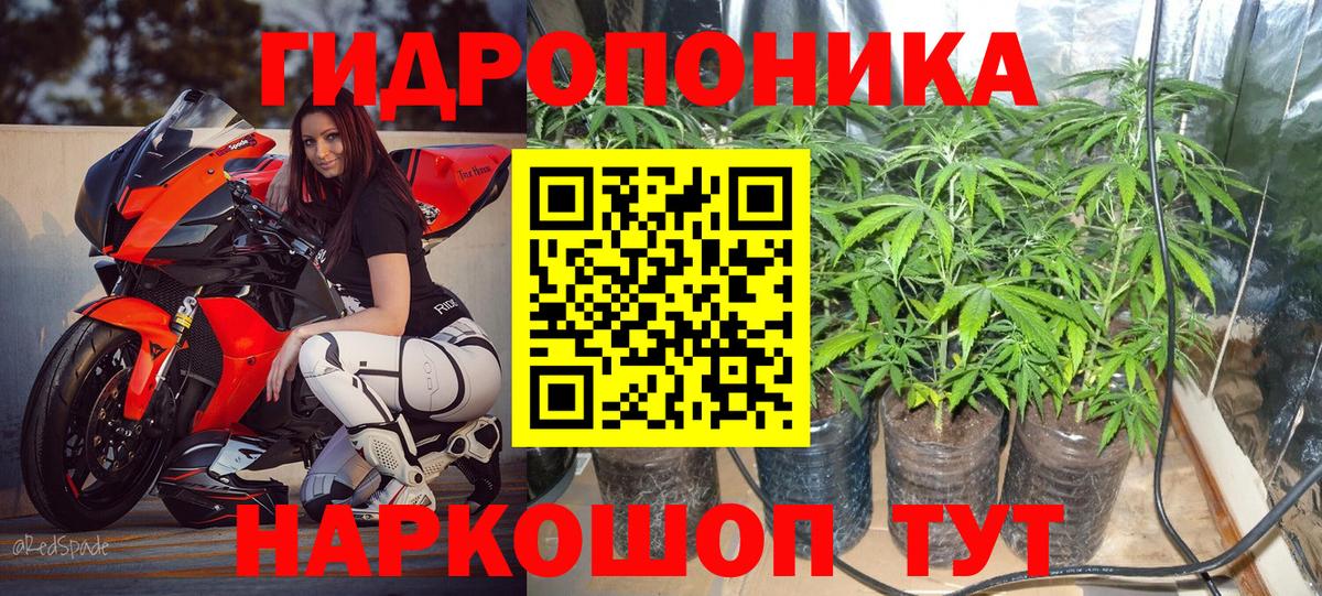 Конопля марихуана  Конопля OG Kush  Канабис MAZAR  Апрелевка  Вход с VPN  МАРИХУАНА планчик 
